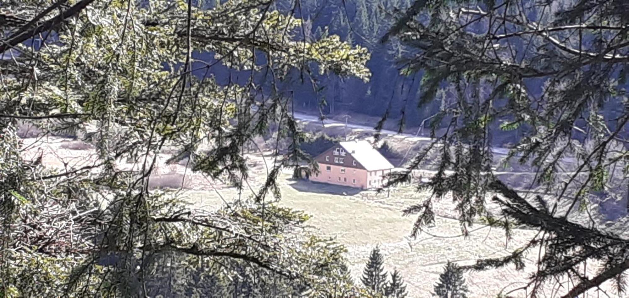 Domaine Des Hauts Viaux Ла-Бресс Екстер'єр фото