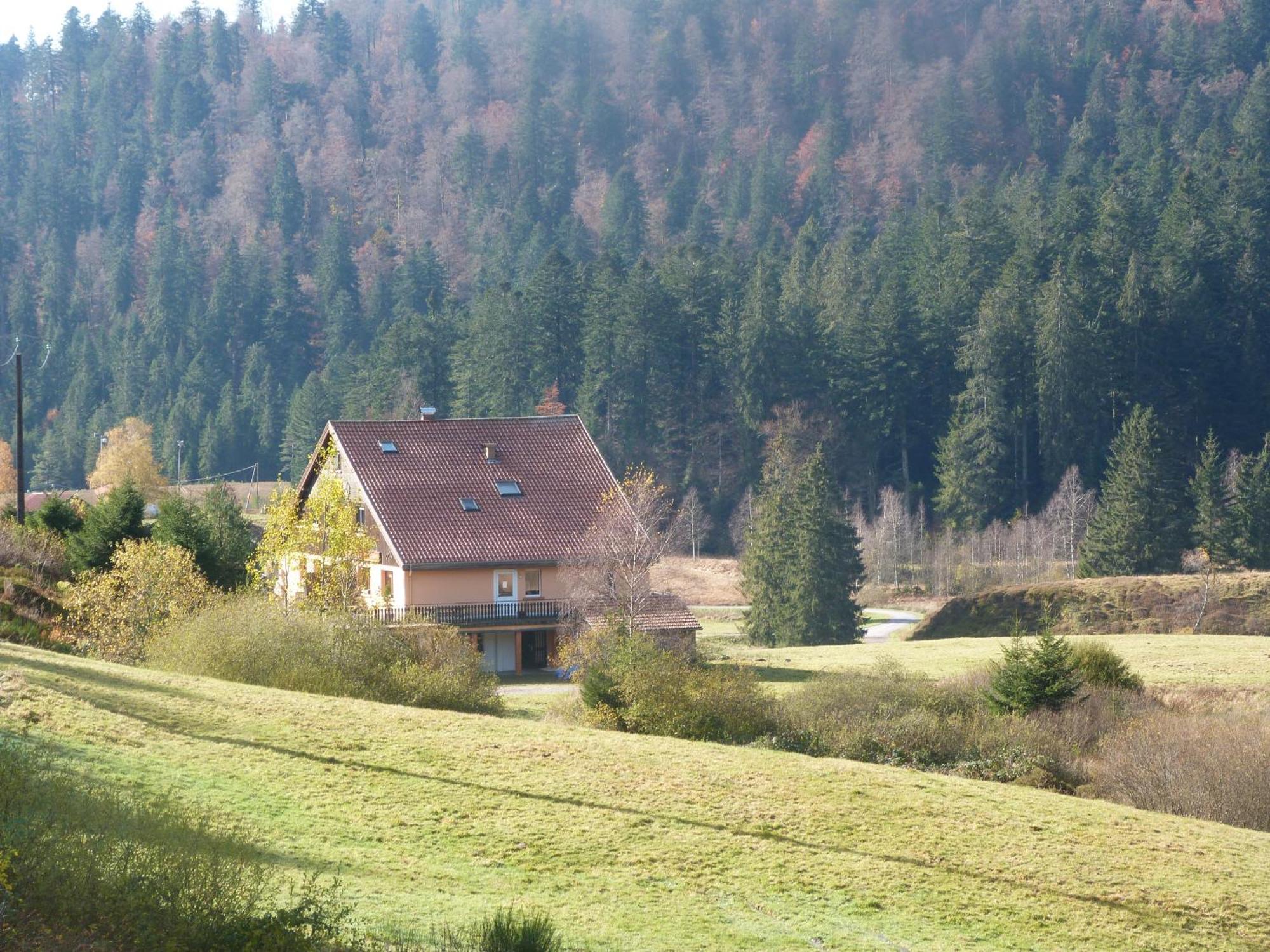 Domaine Des Hauts Viaux Ла-Бресс Екстер'єр фото