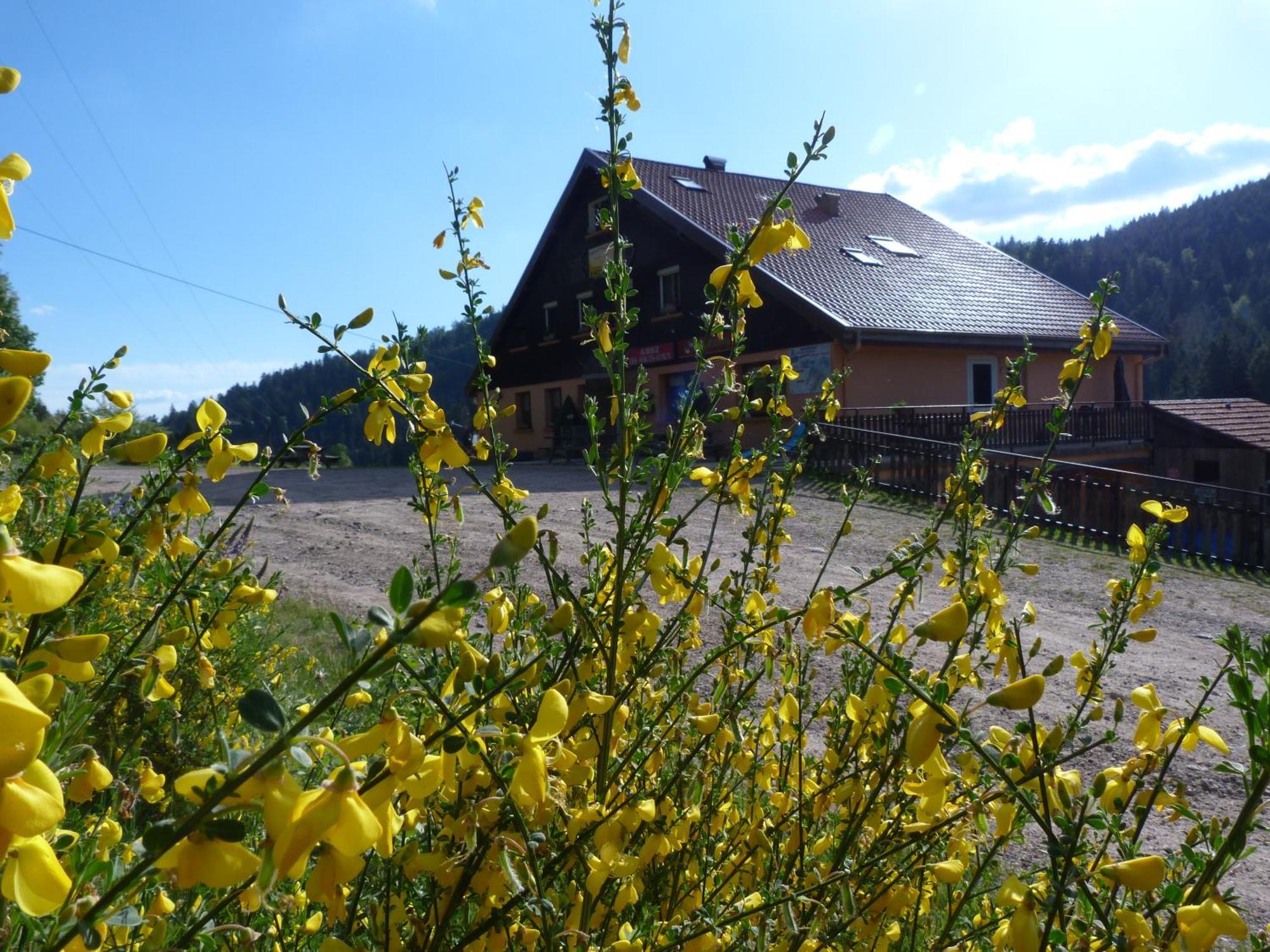 Domaine Des Hauts Viaux Ла-Бресс Екстер'єр фото
