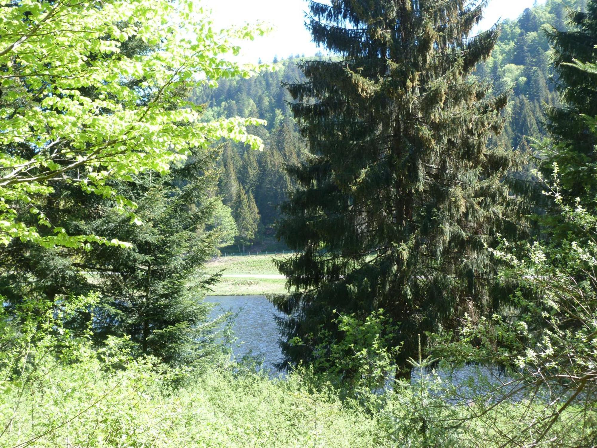 Domaine Des Hauts Viaux Ла-Бресс Екстер'єр фото