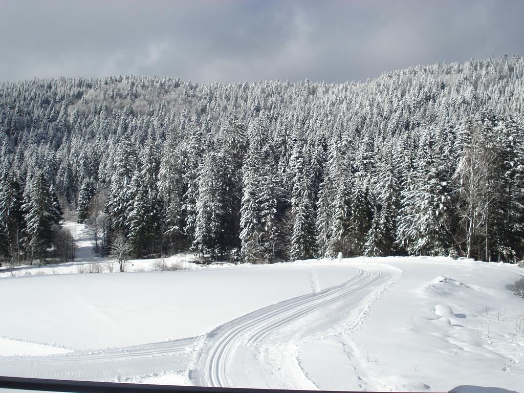 Domaine Des Hauts Viaux Ла-Бресс Екстер'єр фото