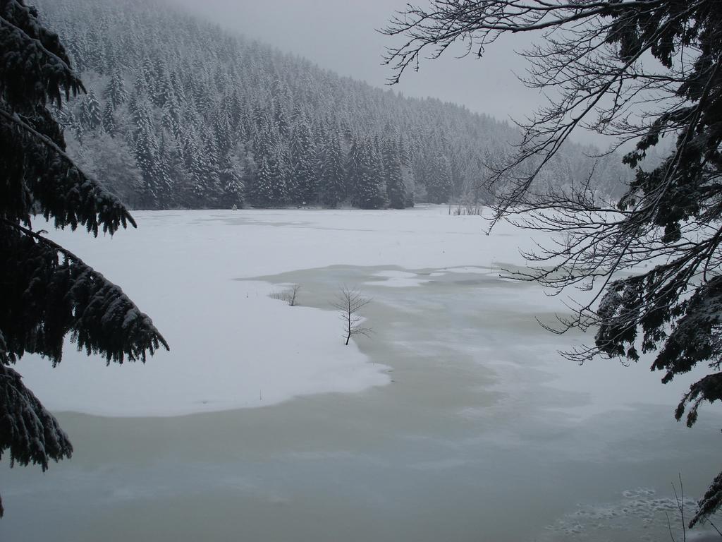 Domaine Des Hauts Viaux Ла-Бресс Екстер'єр фото