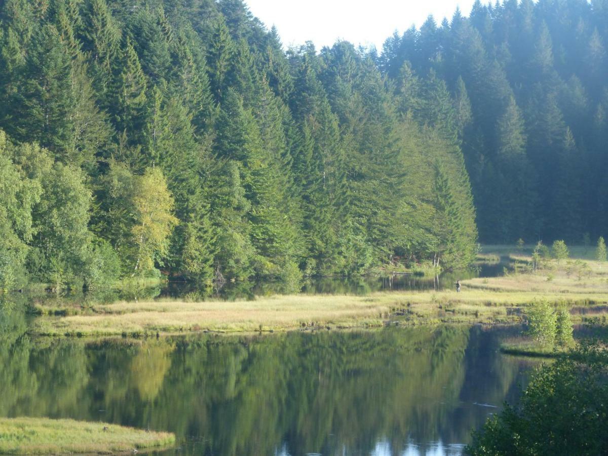 Domaine Des Hauts Viaux Ла-Бресс Екстер'єр фото