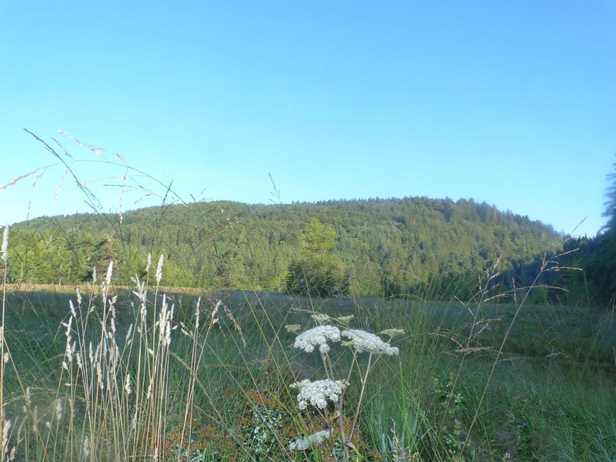 Domaine Des Hauts Viaux Ла-Бресс Екстер'єр фото