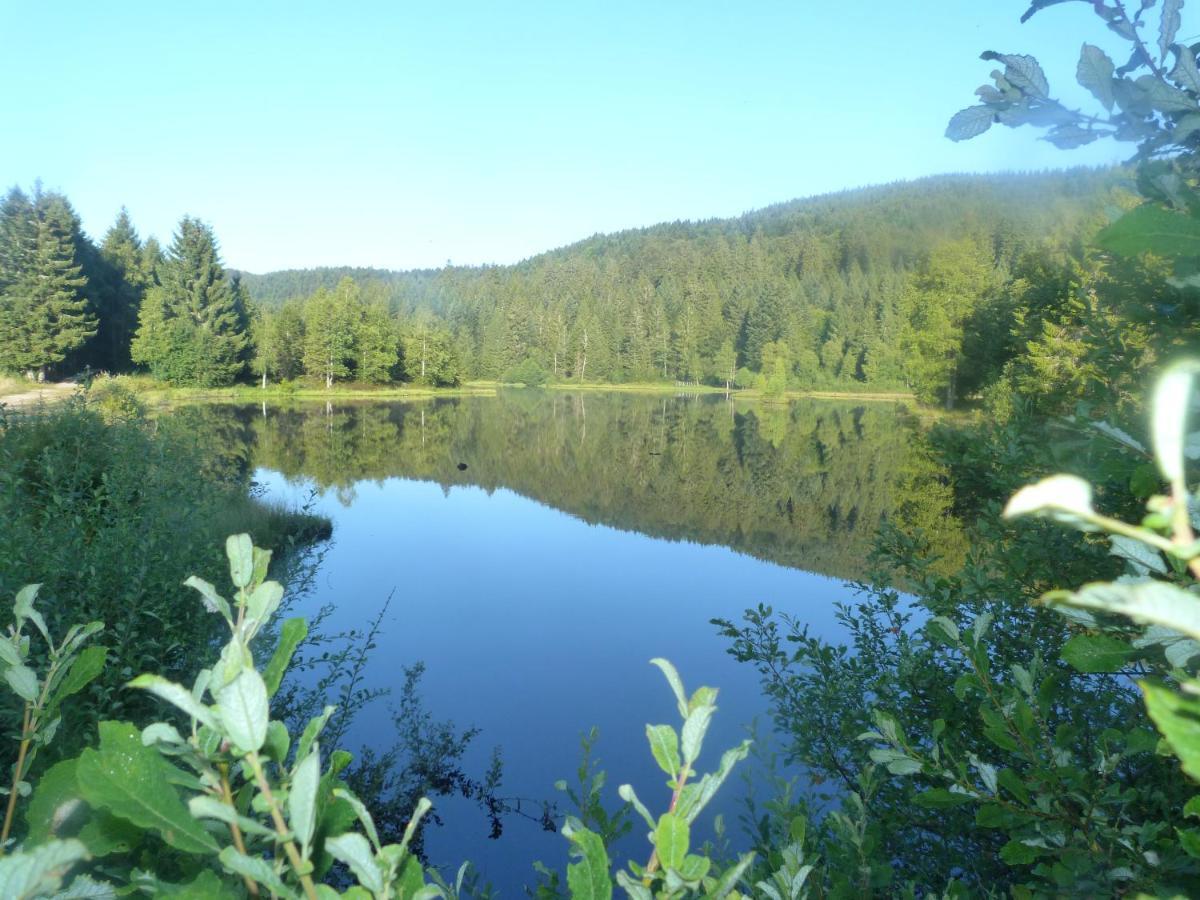 Domaine Des Hauts Viaux Ла-Бресс Екстер'єр фото